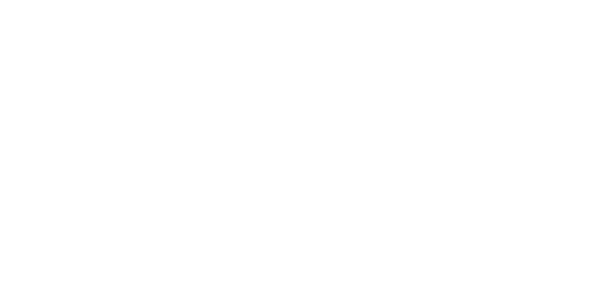 Logo ValiDilek weiß